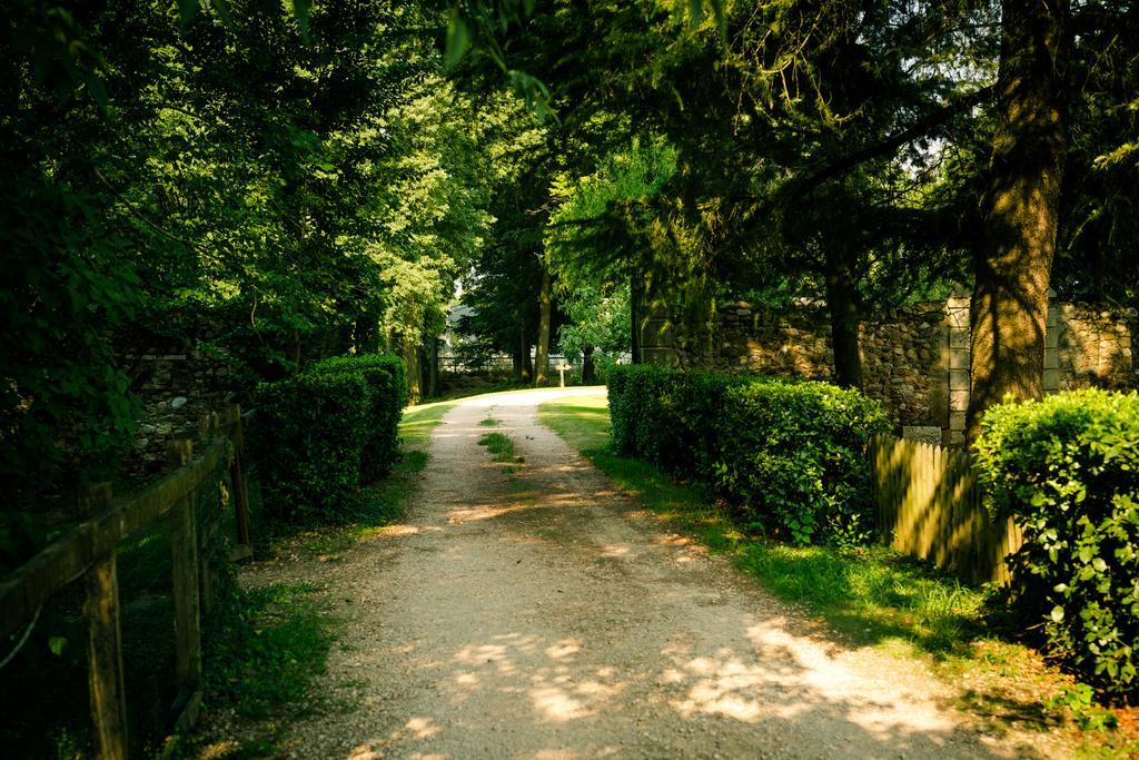 Agriturismo Corte Pellegrini San Martino Buon Albergo Exterior photo